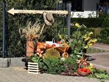 Dożynki Gminno-Parafialne w Soli - święto plonów i podziękowanie za trud rolników
