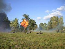 Piknik historyczny w Brodziakach 